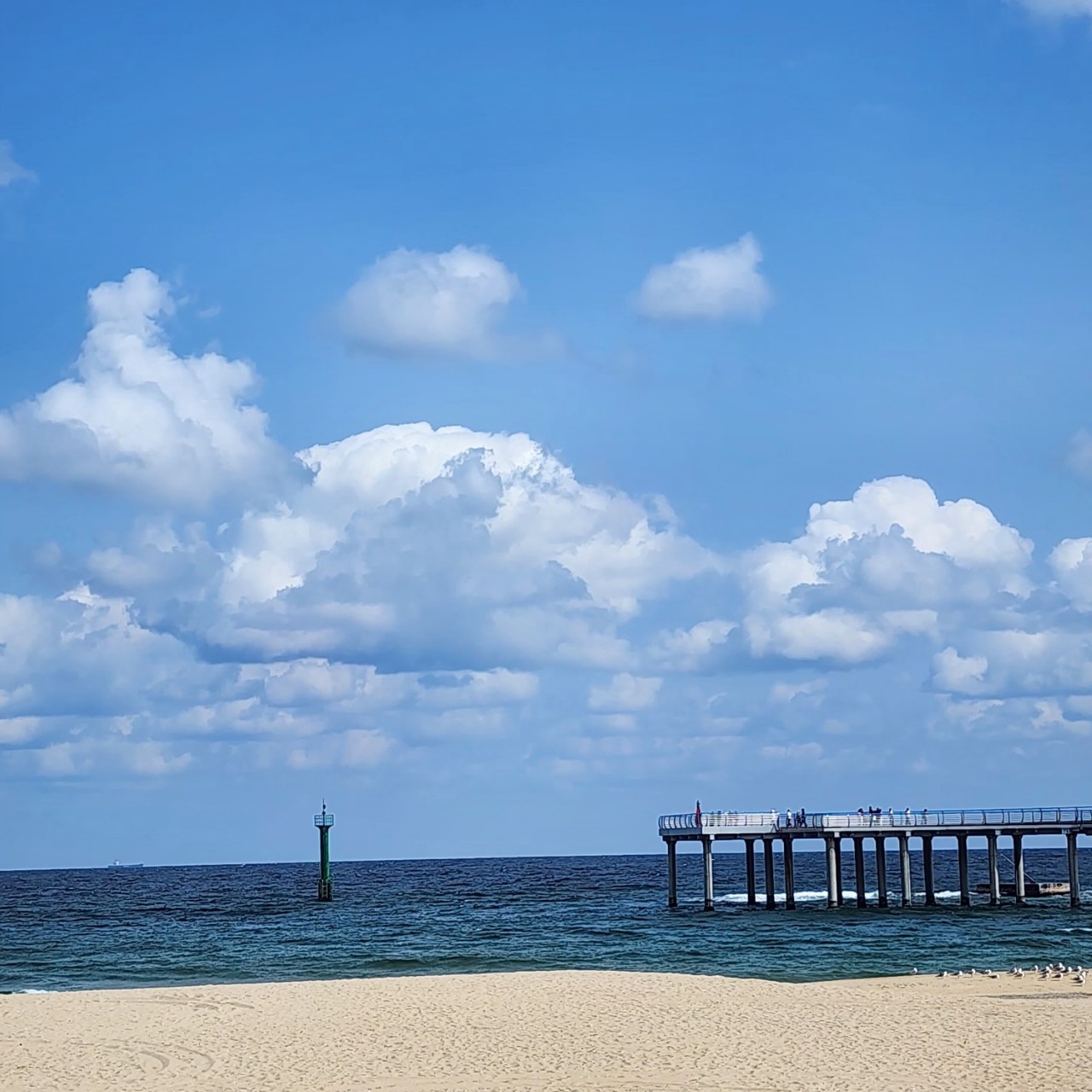 한국카네기CEO클럽 파주총동문회_사진_20250318_16.jpg