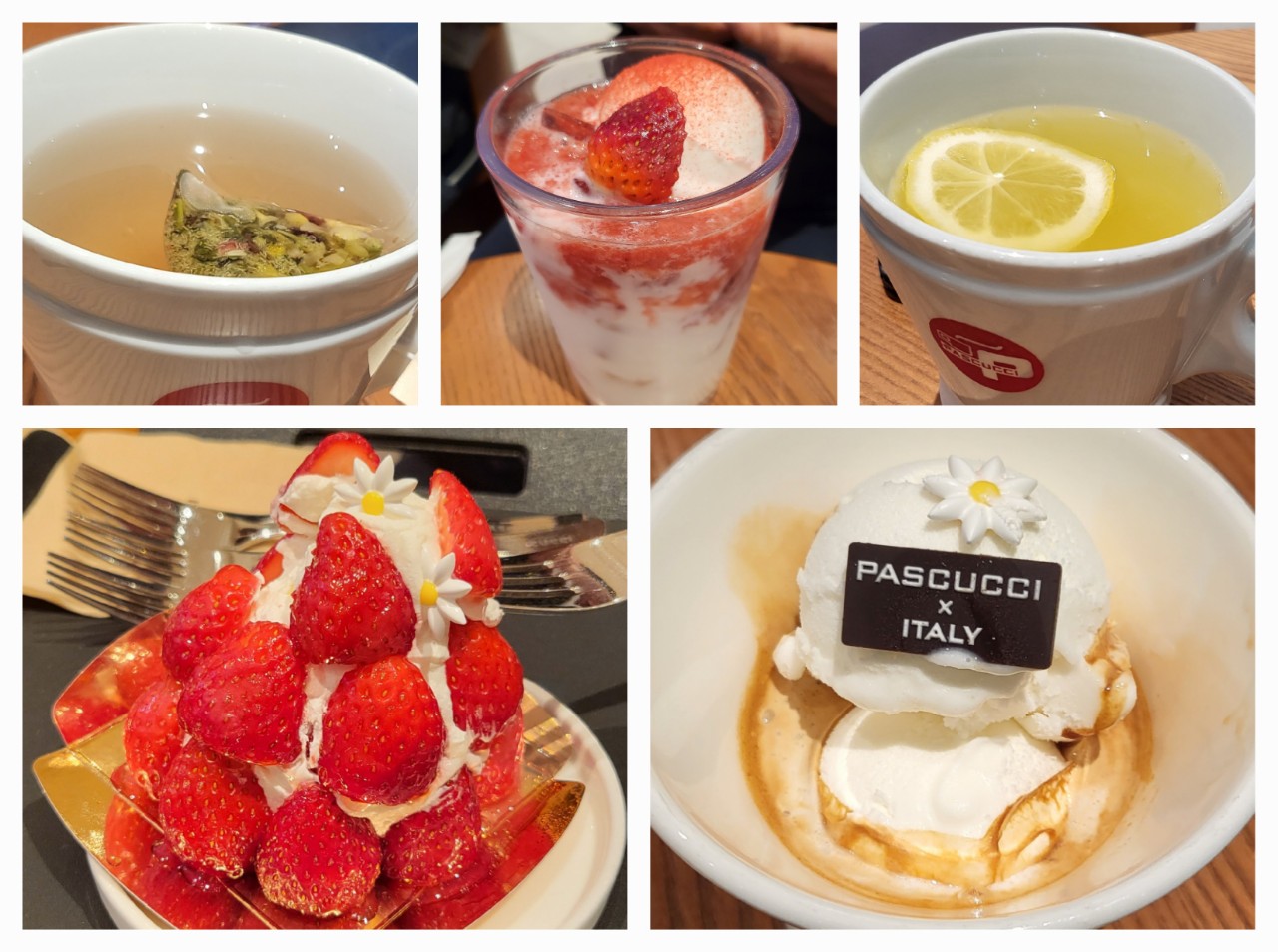 한국카네기CEO클럽 파주총동문회_사진_20250429_15.jpg