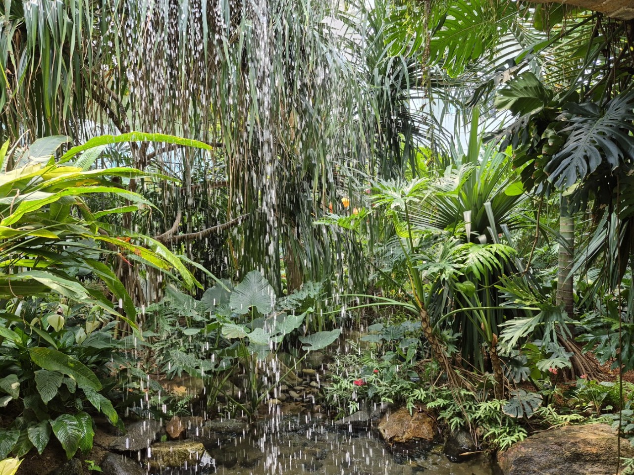 한국카네기CEO클럽 파주총동문회_사진_20250611_3.jpg