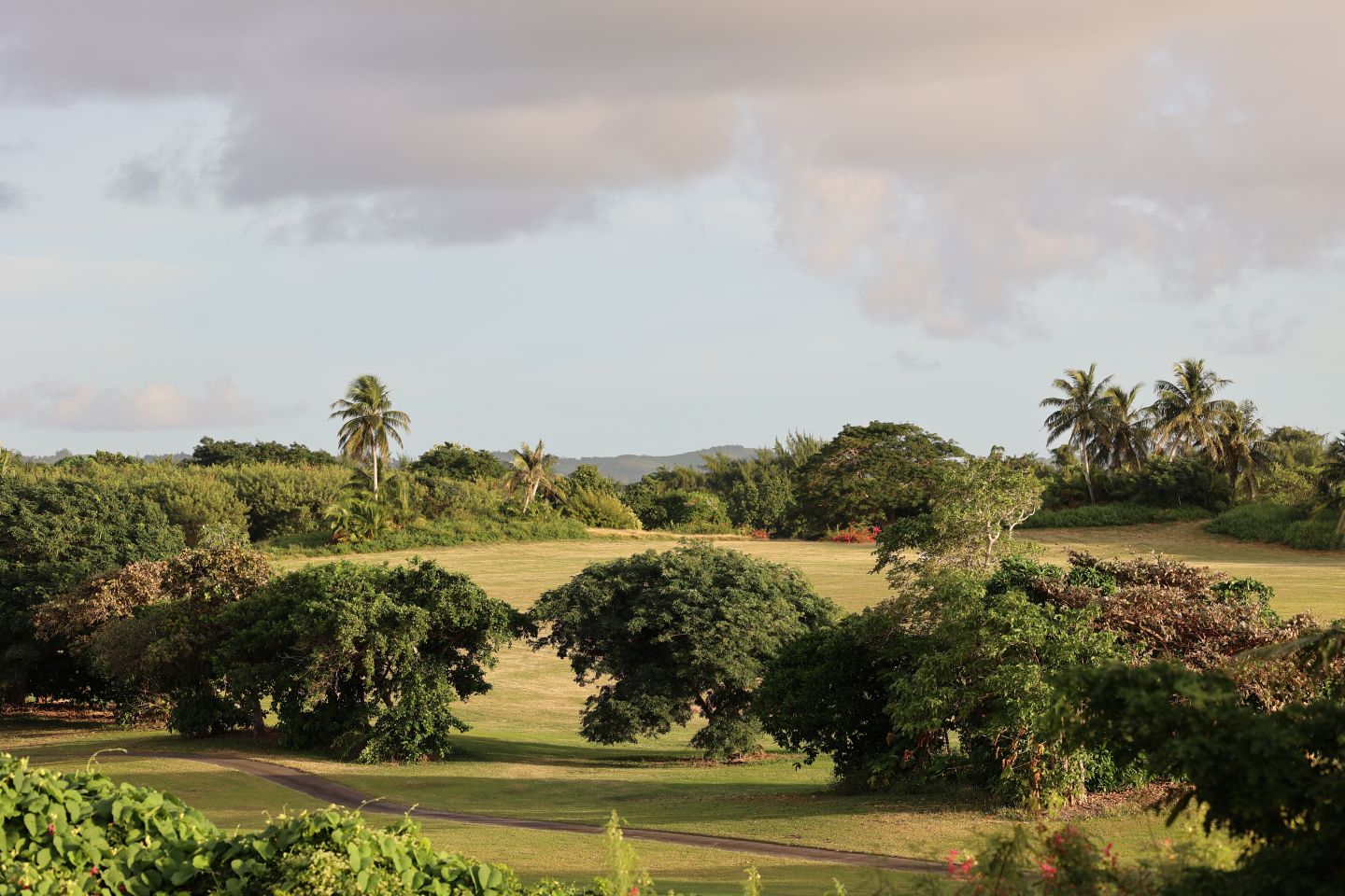 리조트 전경1.JPG