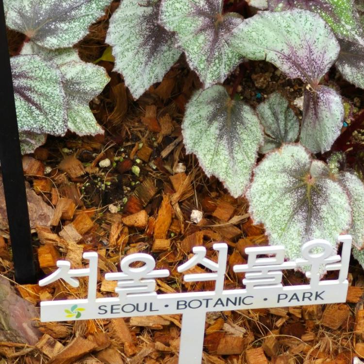 6월의 4막회는 식물원으로 나들이 갑니다앙♧